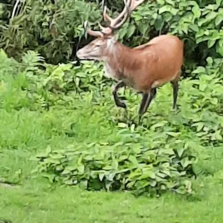 Evasion Дом отдыха